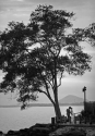 Wedding Photographer